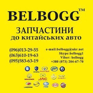 Поршень двигателя с пальцем 0.25 Chery QQ Чери Куку Чері Куку 372-1004021BA фото