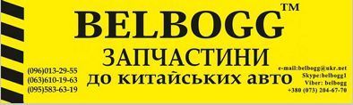 Ролик ремня ГРМ обводной 2,0 BYD S6, Бид С6, Бід С6 10134395-00 фото