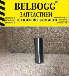 Палец поршневой 21D Chery Amulet, Чери Амулет 480E-1004031 фото