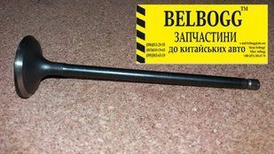 Клапан впускной 1,6 BYD F3, F3R, Бид Ф3, Ф3Р, Бід Ф3 476Q-1007001 фото