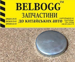 Заглушка головки блоку циліндрів 56 мм Chery Amulet, Чері Амулет, Чері Амулет 480-1002018 фото