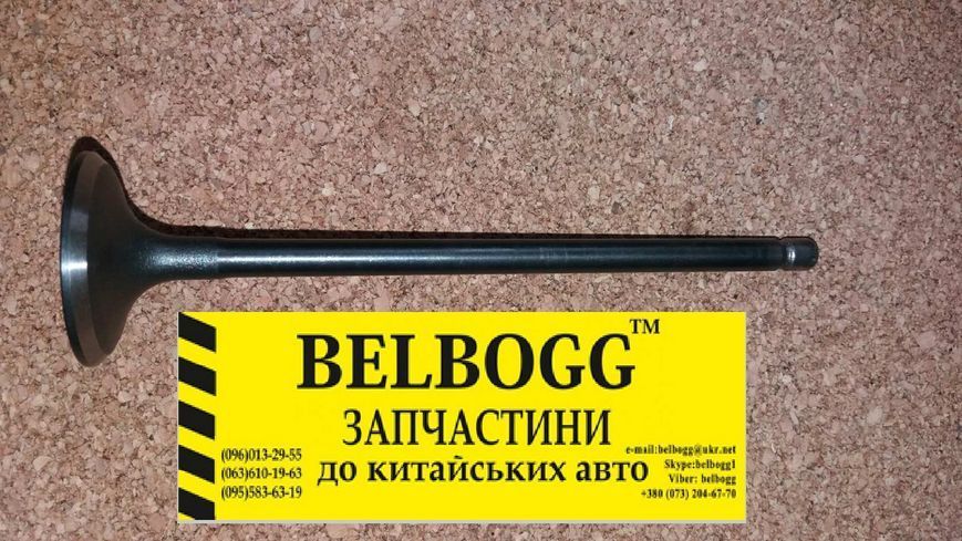 Клапан впускний 1,6 BYD F3, F3R, Бид Ф3, Ф3Р, Бід Ф3 476Q-1007001 фото