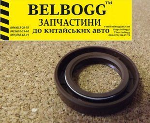 Сальник первичного вала КПП 1,5 BYD F3 F3R, New F3, Бид Ф3 Ф3Р, Бід Ф3 10151995-00 фото