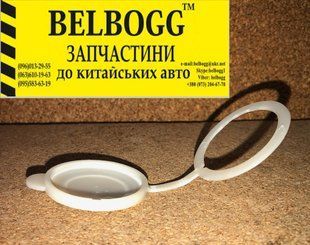 Кришка бачка омивача скла MG Morris Garages 3 МГ МЖ Моріс Моріс Гараж 3 50016413 фото