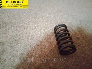 Пружина клапана Great Wall Hover Грейт Вол Ховер SMD314078 фото