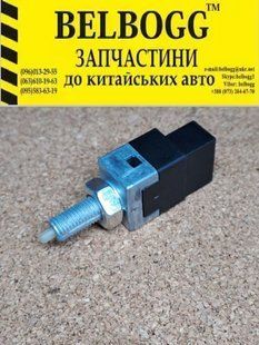Датчик увімкнення стоп-сигналу Kia Rio Cerato Ceed Sportage Picanto Hyundai Elantra Santa Fe Sonata Coupe Кіа Киа Ріо Черато Церато Сид Сід Спортаге Піканто Пиканто Хюндай Елантра Санта Фе Купе KH93810 фото