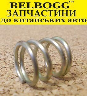 Пружина задних колодок прижимная BYD F0 Бид Ф0 10116533-00 фото