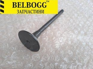 Клапан выпускной 2,8 Great Wall Wingle Грейт Вол Вингл Вінгл 1003012E02 фото