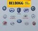Ковпак колеса BYD F3 F3R New F3 Бид Ф3 Ф3Р Бід Ф3 BYDF3-1100110\1 фото 5