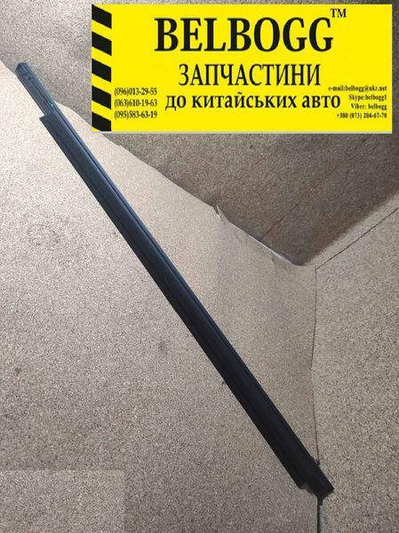 Ущільнювач скла дверей задньої лівої зовнішньої Chery Beat Чері Біт Бет Чері Біт Бет S18-5206215 фото