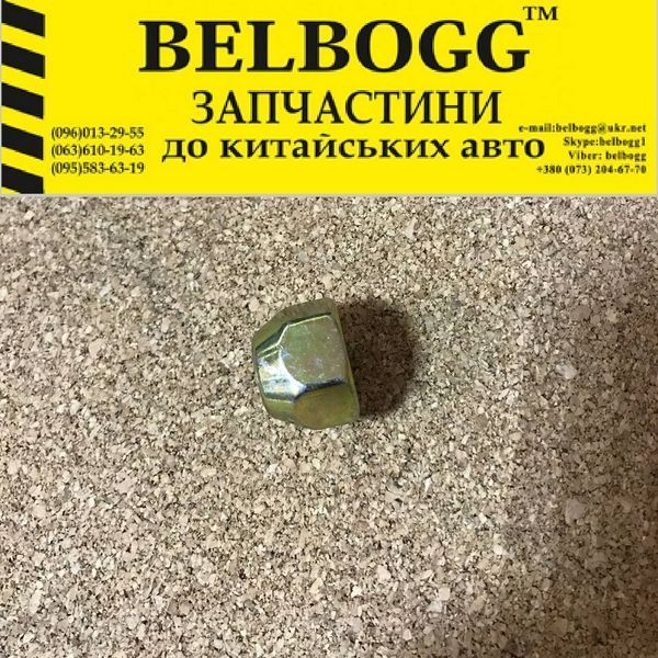 Гайка Ступицы Колеса FAV V2 ФАВ В2 42601C-TXA00 фото
