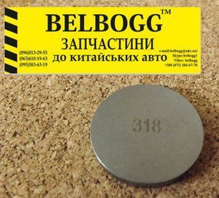 Регулювальна шайба 318 Lifan 620 Ліфан 620 1162787221 фото